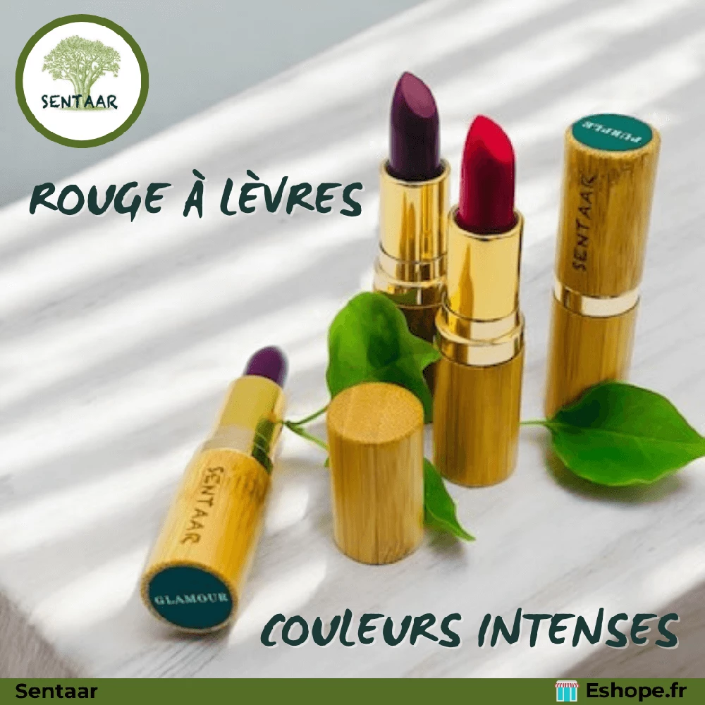 Exemple de template 